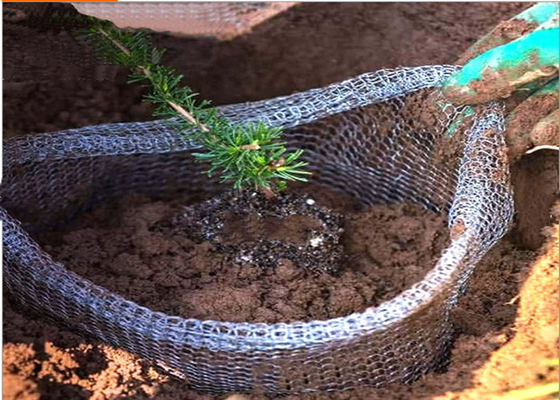 Diámetro de cobre de Gopher Basket 0.12m m del guardia de la raíz que hace punto